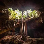 Loft In Cenotes Natural Park * Tulum