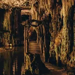 Loft In Cenotes Natural Park