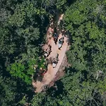 Loft In Cenotes Natural Park Holiday home Tulum