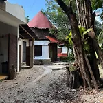 Tree House Pensión Tulum