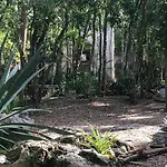 Barefoot Jungle Studios