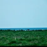 Beautiful Minutes From The