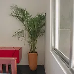 Villa Casa Xul Tulum