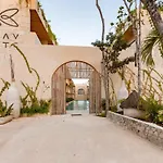 Apartamento Cocay Lofts 203 Unique Jungle Swim Up Y Plunge Pool *