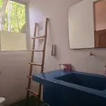 Kin Jungle Deluxe 4* Tulum