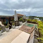 Selva Tulum