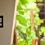 Casa Teka - Boutique & Cenote 4* Tulum