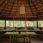 Room In Lodge - Eco-Lush Double Mayan Dome Cenote And Bikes