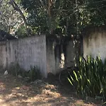 Barefoot Jungle Studios