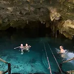 Unique Jungle Dome Ik