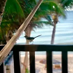 Hotel Azucar Tulum