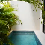 Otonomus Tulum