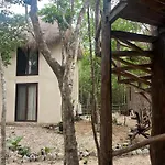 Sak Lool Campsite *