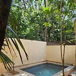 New Bamboo Paramar