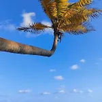 Tropical Escape In A Cozy Paam Cheel * Tulum