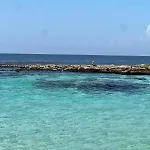 Beachfront In *