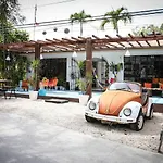 Teetotum Tulum