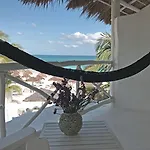 Coco Unlimited