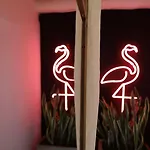 Coco Unlimited Hotel Tulum