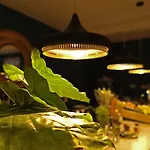 Hotel Coco Unlimited Tulum