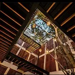 Depa 2 Rec Y Alberca Privada En Veleta * Tulum