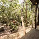 Siwa Jungle-luxury 2br Retreat With Private Roofto Apartamento