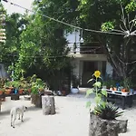 Teetotum Tulum