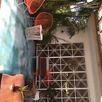 Teetotum Tulum