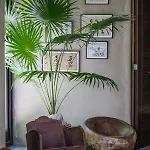 Casa Maya Kaan
