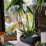 Casa Maya Kaan Tulum
