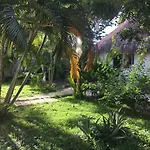 Maya Pax Tulum