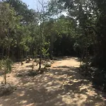Camping Nueve *