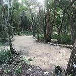 Nueve Tulum