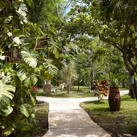 Coco Hacienda - Adults Only Tulum