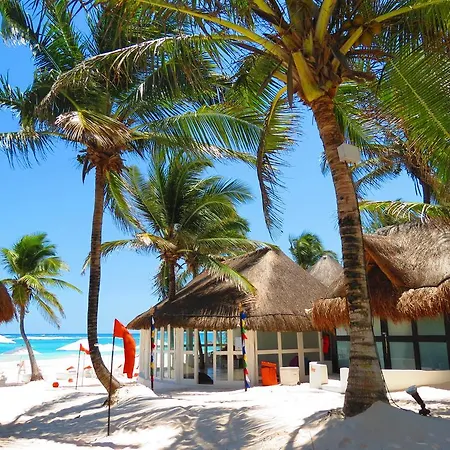 Shambala Petit Tulum