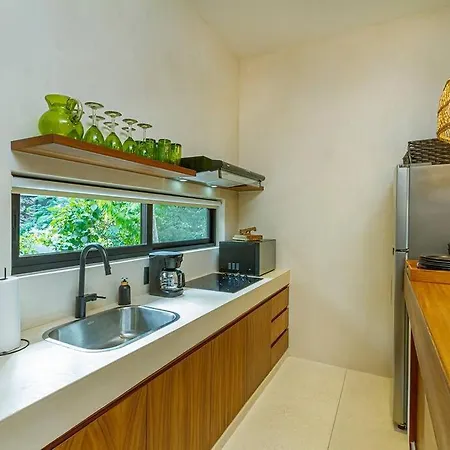 Apartment Luxury 1br W/private Jetted Pool In Aldea Zama Tulum