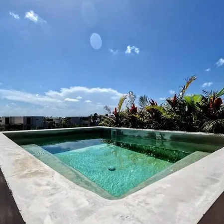 Ph Private Rooftop Pool, Walk To Calle 7 La Veleta Apartment *