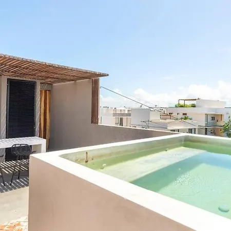 Ph Private Rooftop Pool, Walk To Calle 7 La Veleta Apartment *