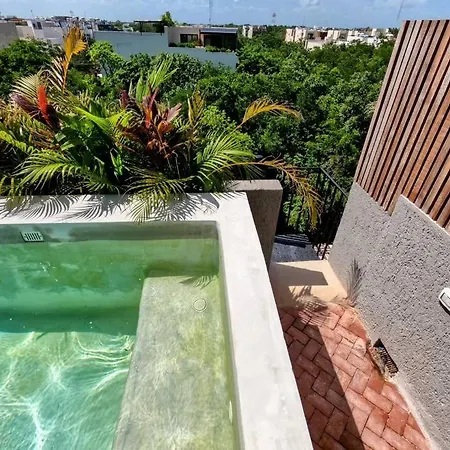 Apartment Ph Private Rooftop Pool, Walk To Calle 7 La Veleta