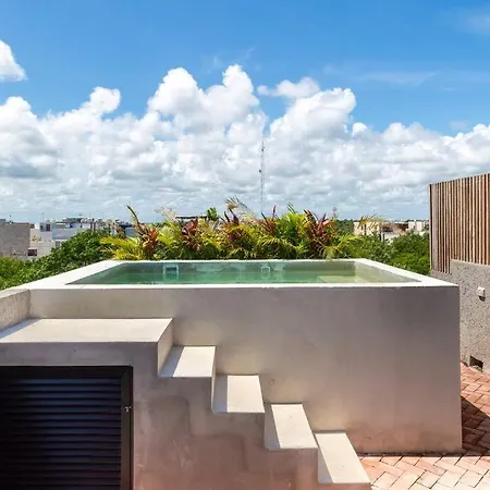 Ph Private Rooftop Pool, Walk To Calle 7 La Veleta Apartment