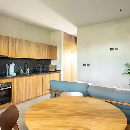Apartment Ph Private Rooftop Pool, Walk To Calle 7 La Veleta *