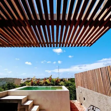 Apartment Ph Private Rooftop Pool, Walk To Calle 7 La Veleta *