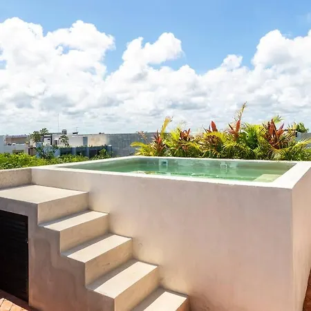 Apartment Ph Private Rooftop Pool, Walk To Calle 7 La Veleta