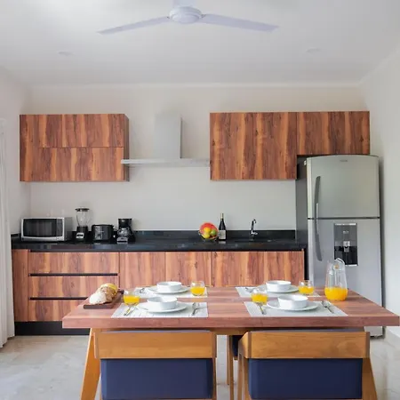 Modern 1br With Rooftop Pool In Aldea Zama Apartment Tulum