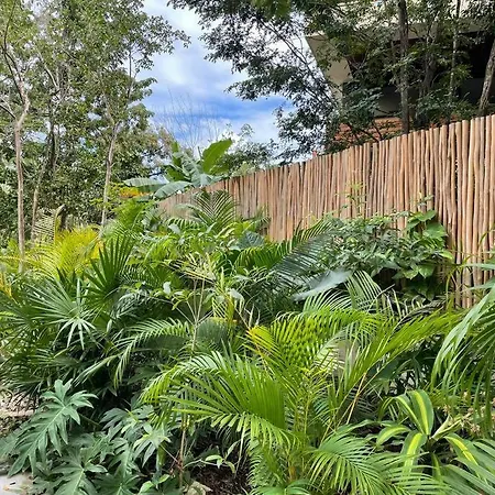 Apartment Casa Mariposa - Private Jungle Luxury In Luum Zama *