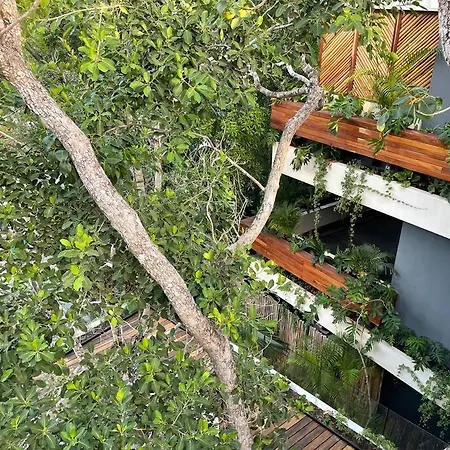 Apartment Casa Mariposa - Private Jungle Luxury In Luum Zama Tulum