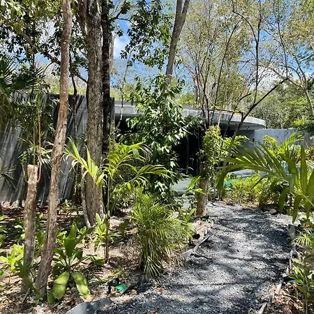 Apartment Casa Mariposa - Private Jungle Luxury In Luum Zama *