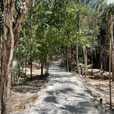 Casa Mariposa - Private Jungle Luxury In Luum Zama