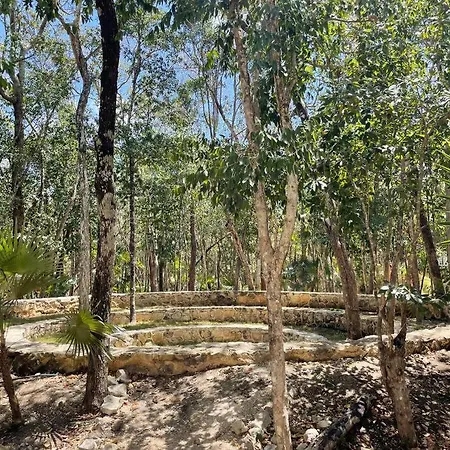 Apartment Casa Mariposa - Private Jungle Luxury In Luum Zama