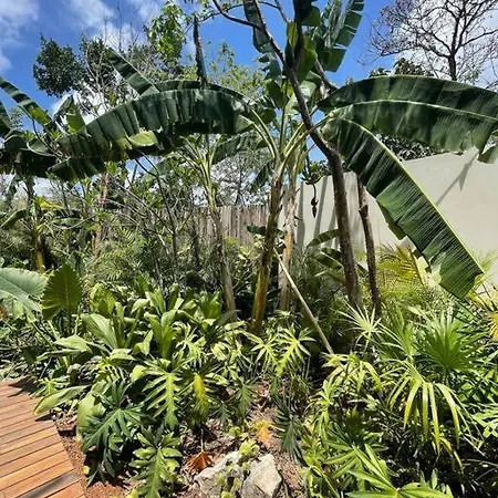 Casa Mariposa - Private Jungle Luxury In Luum Zama *